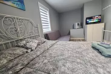 ベッドアンドブレックファースト Downtown Ottawa Spacious Room Accommodation
