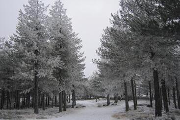 ユースホステル Residencial Mira Sol