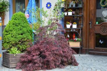 膳宿费 Gasthof Köllenspitze