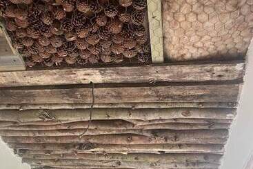 Bridie Rose Hot Tub Extra Charge Exotic Animals