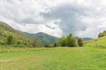 Pensiunea Popasul Ursilor