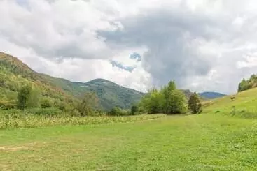 Pensiunea Popasul Ursilor