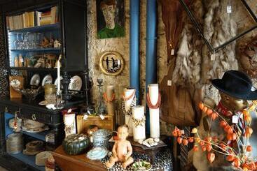 Bed and Breakfast Maison D'hôtes Les Volets Verts Et Sa Brocante