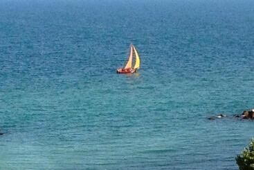 펜션 Apartamente Liliacul