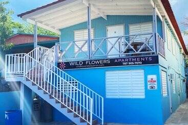 هتل Wild Flowers Boquerón Apartments