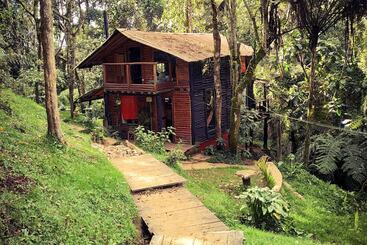 پانسیون La Cabaña Musical