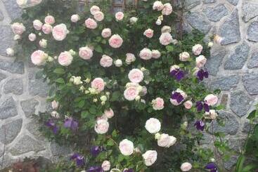 ベッドアンドブレックファースト Villa Des Glycines