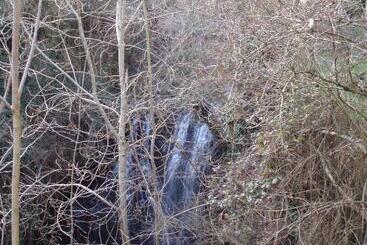 Moulin De Cornevis Bed And Breakfast