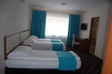 Hostel Paltinis