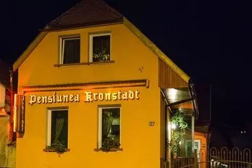 Hôtel Pensiunea Kronstadt