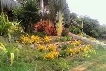 Aamiaismajoitus (B&B) El Delfin