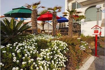 Lägenhet Pension Haneul Tari