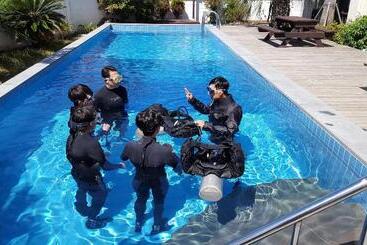 Apartament Ocean Tree