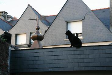 ベッドアンドブレックファースト Le Magasin à Sel