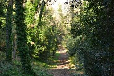 هتل Le Saintgenies