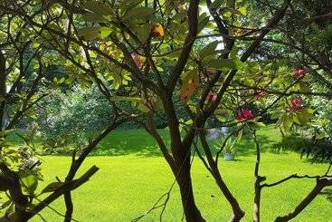 호텔 Haus Waldheim