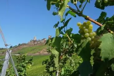Hotelli Winzerhof Brachtendorf