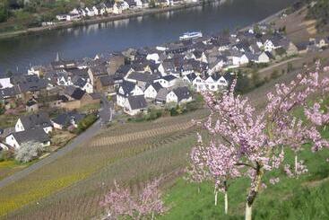 בית מלון כפרי Winzerhof Brachtendorf