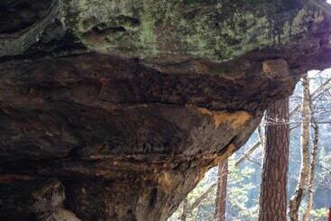 Parkhotel Margaretenhof