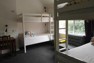 Общежитие Igloo Hybrid