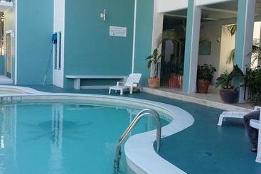 ホテル Delphinus Inn