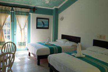 ホテル Delphinus Inn