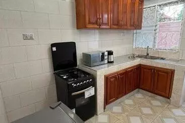 Bed and Breakfast Ronald Virtue Apartments