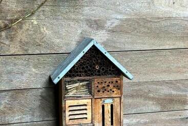 مبيت وإفطار Villa Park