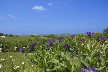 צימר Chambre De La Divatte