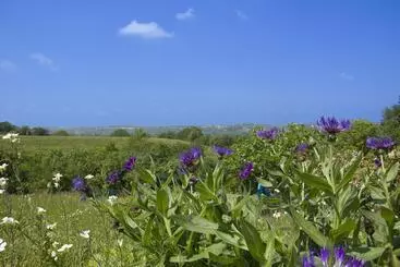 Aamiaismajoitus (B&B) Chambre De La Divatte