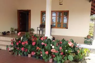 Panzió Honey Beatle Homestay