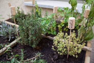 María Pacheco Hotel Boutique