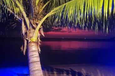 Szálloda Cykali Garden Bungalows