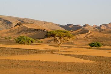 Riad Les Jardins De Tafraoute