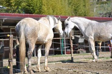 Agriturismo Fattoria Il Ginepro