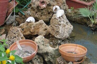 Aparthotel Paradise Inn