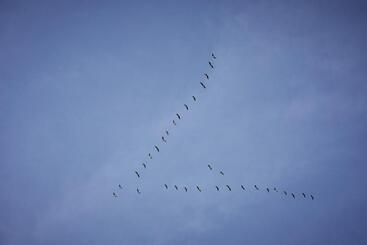 호텔 Residenz Velich