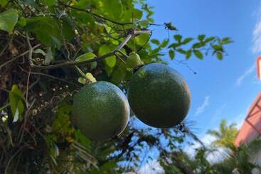 تختخواب و صبحانه Villa Cajou Chambres D Hôtes Chez L Habitant Et Zanzibar Cottage