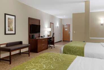 Hôtel Comfort Suites Greenville South