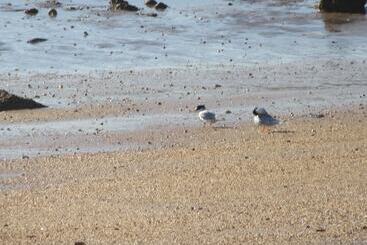 Dampier Mermaid Hotel Karratha