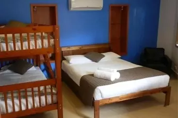 Koala Tree Motel