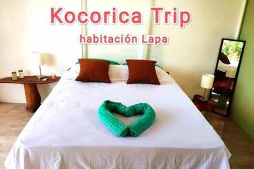 پانسیون Kocorica