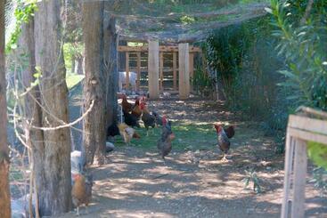 Bed and Breakfast Vahide Homes