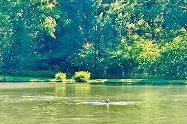 בית מלון כפרי One Suite Suite With Private Beach, Natural Swimming Pool & Reserve