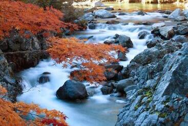 בית מלון כפרי Miki