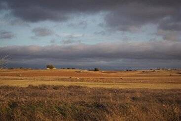 בית מלון כפרי La Fuensanta Hostalrural