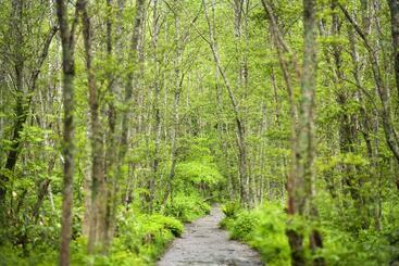Ryokan Hirayuonsen Yamatokan