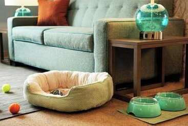 فندق Home2 Suites By Hilton Griffin