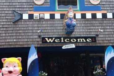 Bed and Breakfast The Blue Water House