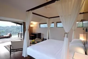 Resort Dharana At Shillim A Luxury Wellness Retreat